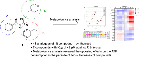Novel aroyl guanidine anti-trypanosomal compounds that exert opposing effects on parasite energy metabolism