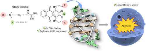 Thiadiazole-, selenadiazole- and triazole-fused anthraquinones as G-quadruplex targeting anticancer compounds