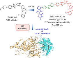 Discovery of FLT3-targeting PROTACs with potent antiproliferative activity against acute myeloid leukemia cells harboring FLT3 mutations