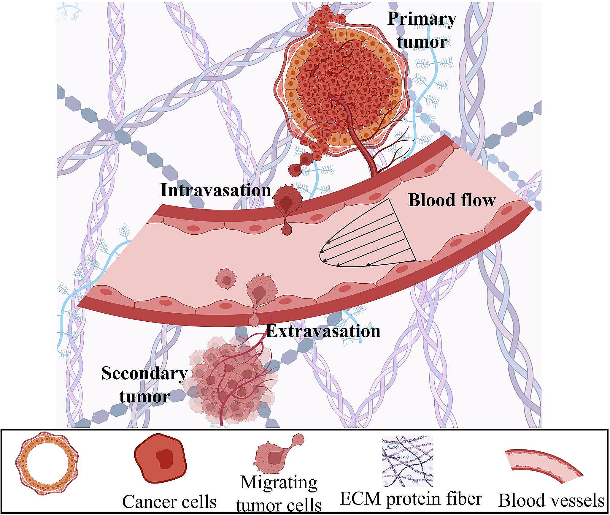 The impact of tumor microenvironment: unraveling the role of physical cues in breast cancer progression