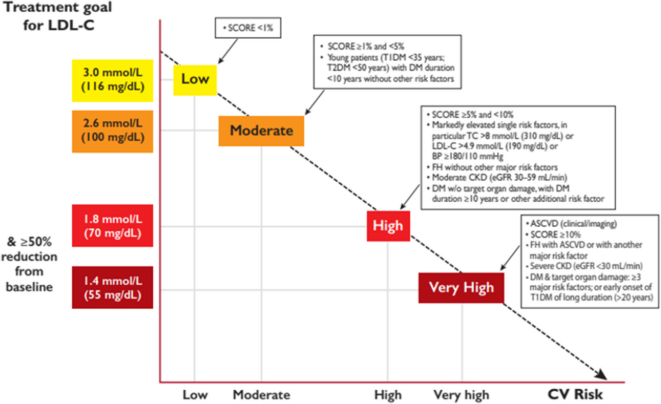 A Practical Approach to the Management of Residual Cardiovascular Risk: United Arab Emirates Expert Consensus Panel on the Evidence for Icosapent Ethyl and Omega-3 Fatty Acids