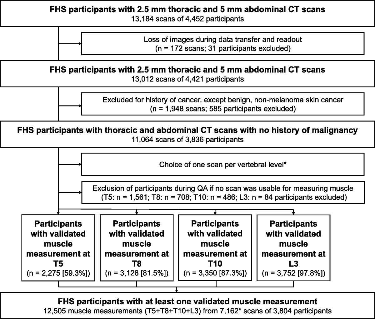 Muscle Reference Values From Thoracic and Abdominal CT for Sarcopenia Assessment: The Framingham Heart Study