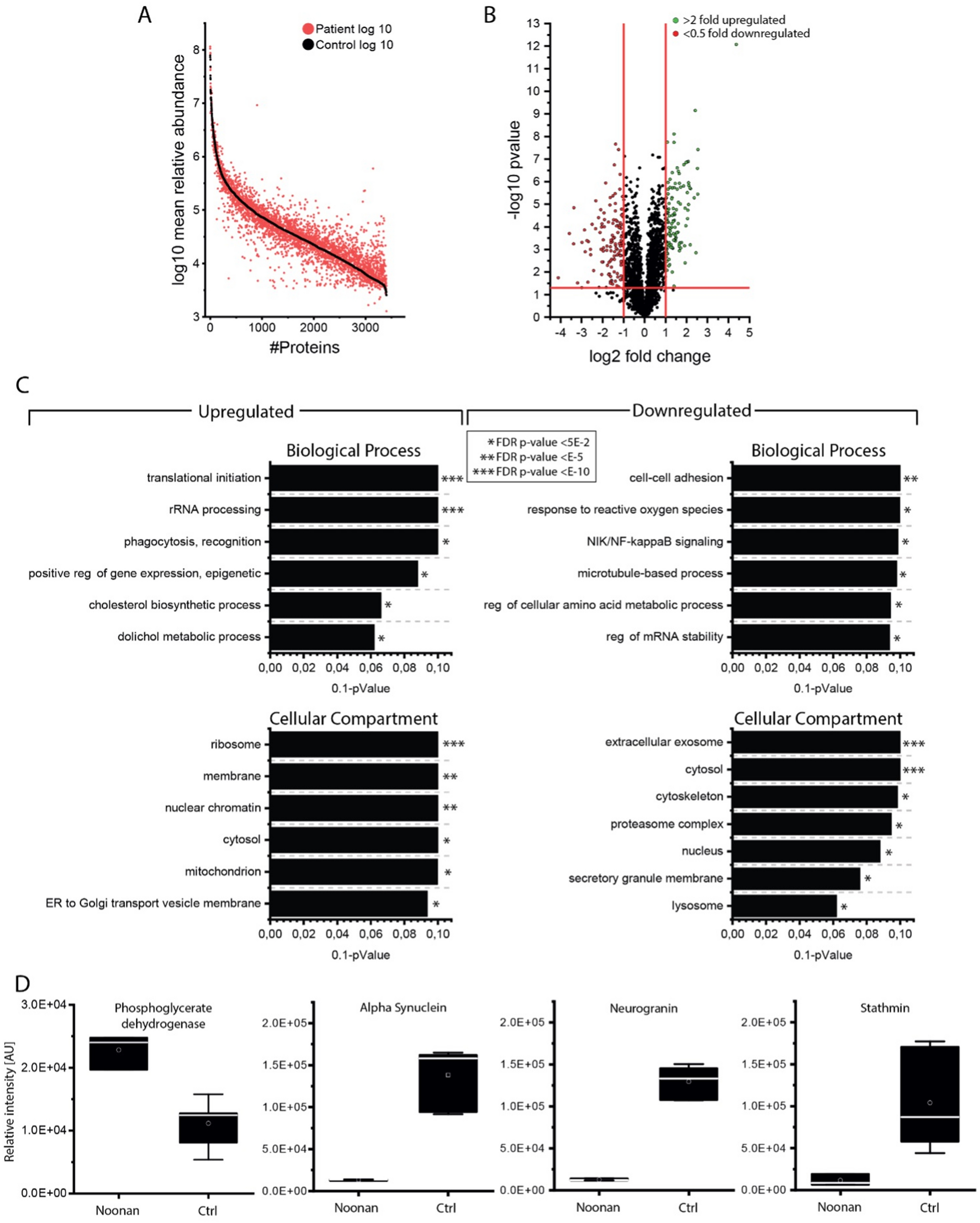Mutations in PTPN11 could lead to a congenital myasthenic syndrome phenotype: a Noonan syndrome case series