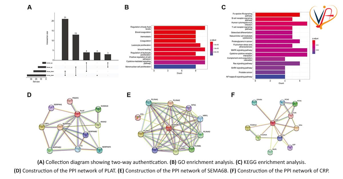 Identification of Potential Targets of Stress Cardiomyopathy by a Machine Learning Algorithm