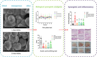 Small molecules modified mesoporous silica nanoparticles orally deliver indomethacin with synergistic effect