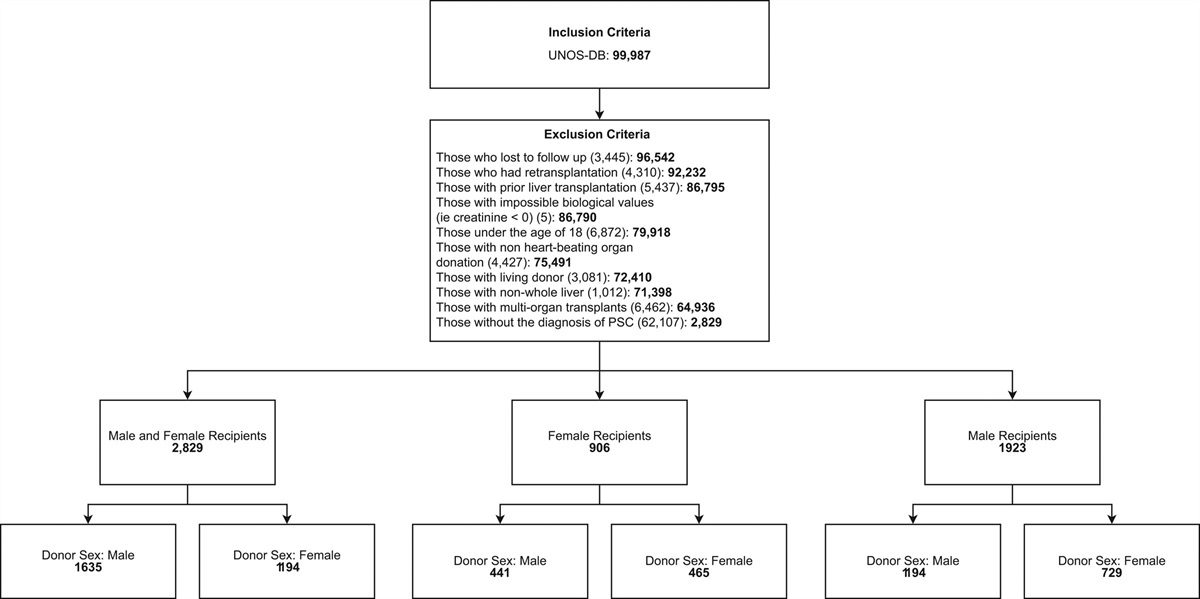 The role of donor sex on the post-liver transplant outcomes in patients with primary sclerosing cholangitis