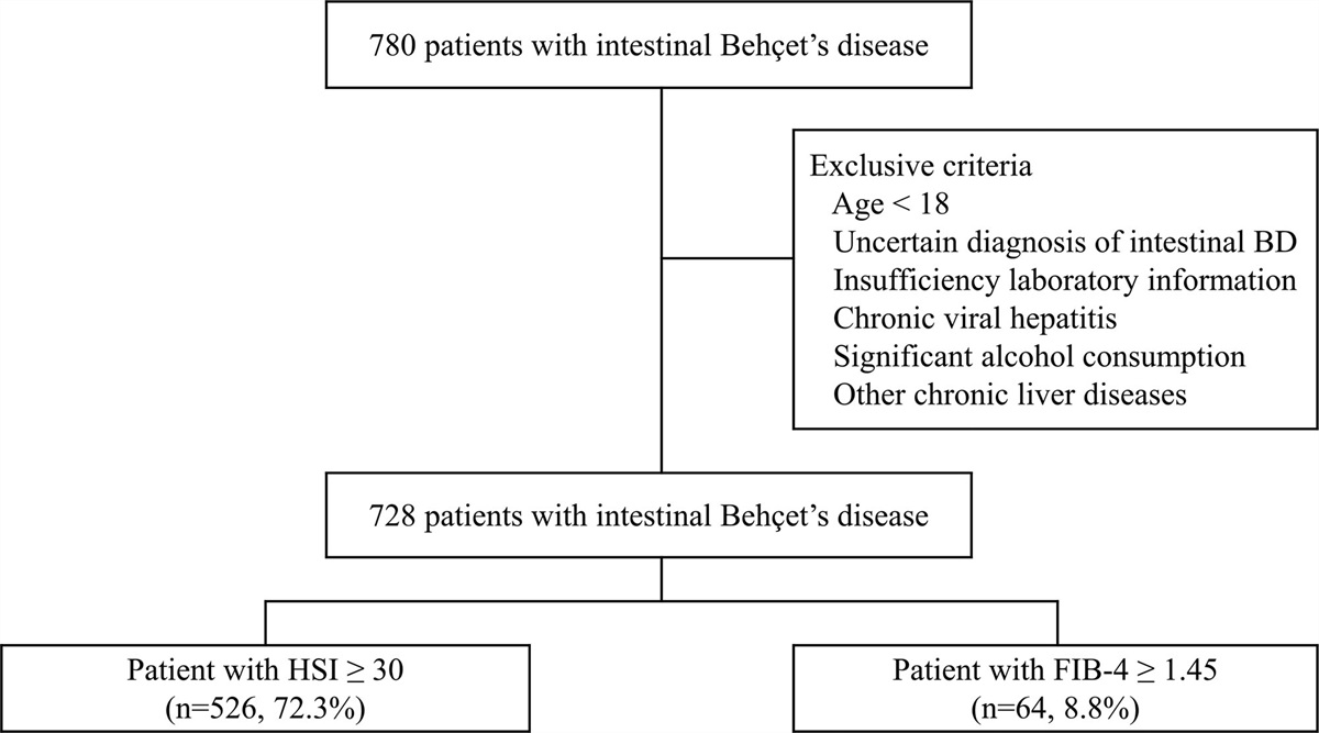 Neither hepatic steatosis nor fibrosis is associated with clinical outcomes in patients with intestinal Behçet’s disease