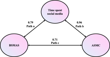 Relationship between social media addiction and appearance-related social media consciousness in Turkish adolescents