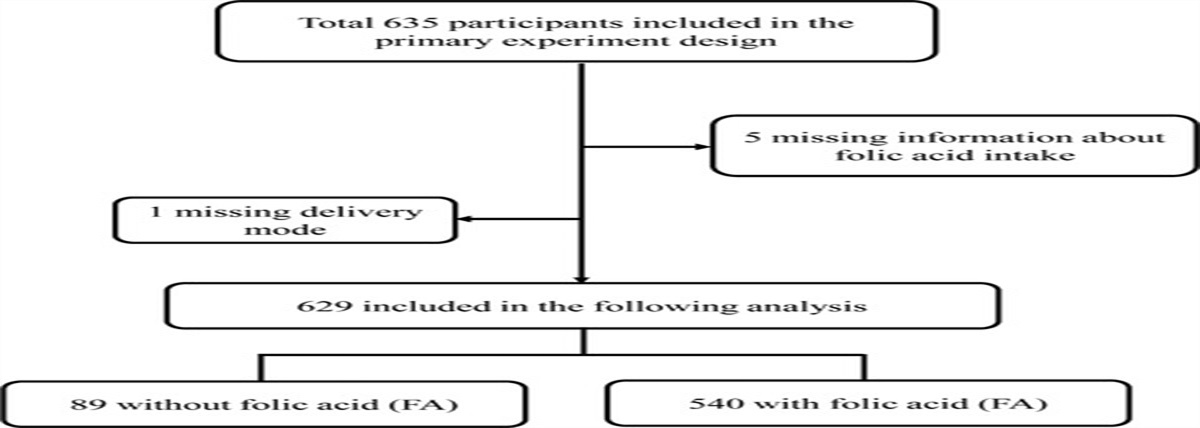 Preventive Effects of Prenatal Folic Acid on Postpartum Depression: A Retrospective Cohort Study