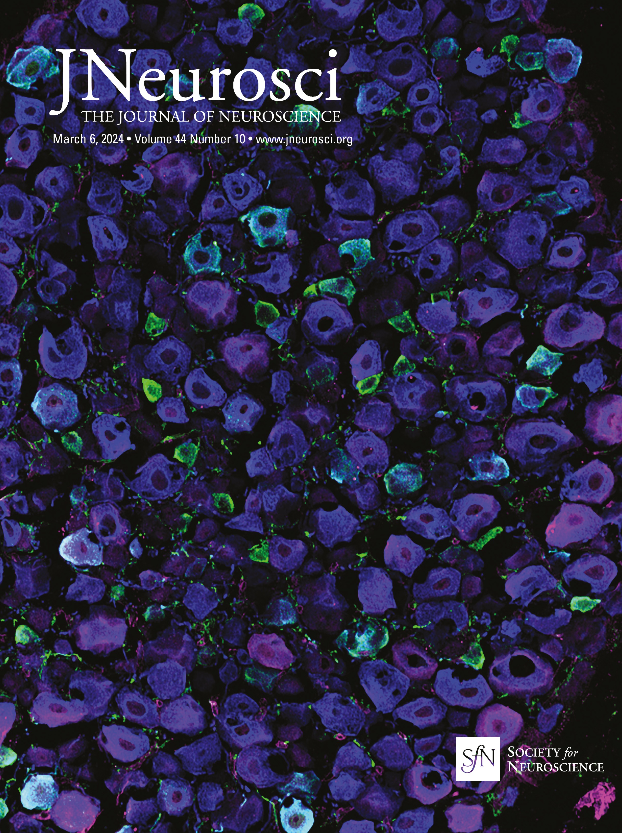 Erratum: Wang et al., "Olig2 Ablation in Immature Oligodendrocytes Does Not Enhance CNS Myelination and Remyelination"