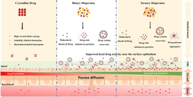 Supersaturable diacyl phospholipid dispersion for improving oral bioavailability of brick dust molecule: A case study of Aprepitant