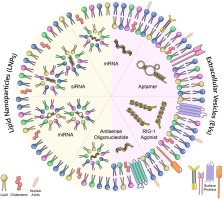 RNA-encapsulating lipid nanoparticles in cancer immunotherapy: From pre-clinical studies to clinical trials