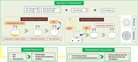 Azithromycin-loaded liposomes and niosomes for the treatment of skin infections: Influence of excipients and preparative methods on the functional properties