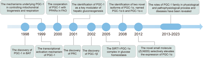 Peroxisome proliferator-activated receptor gamma coactivator-1 (PGC-1) family in physiological and pathophysiological process and diseases
