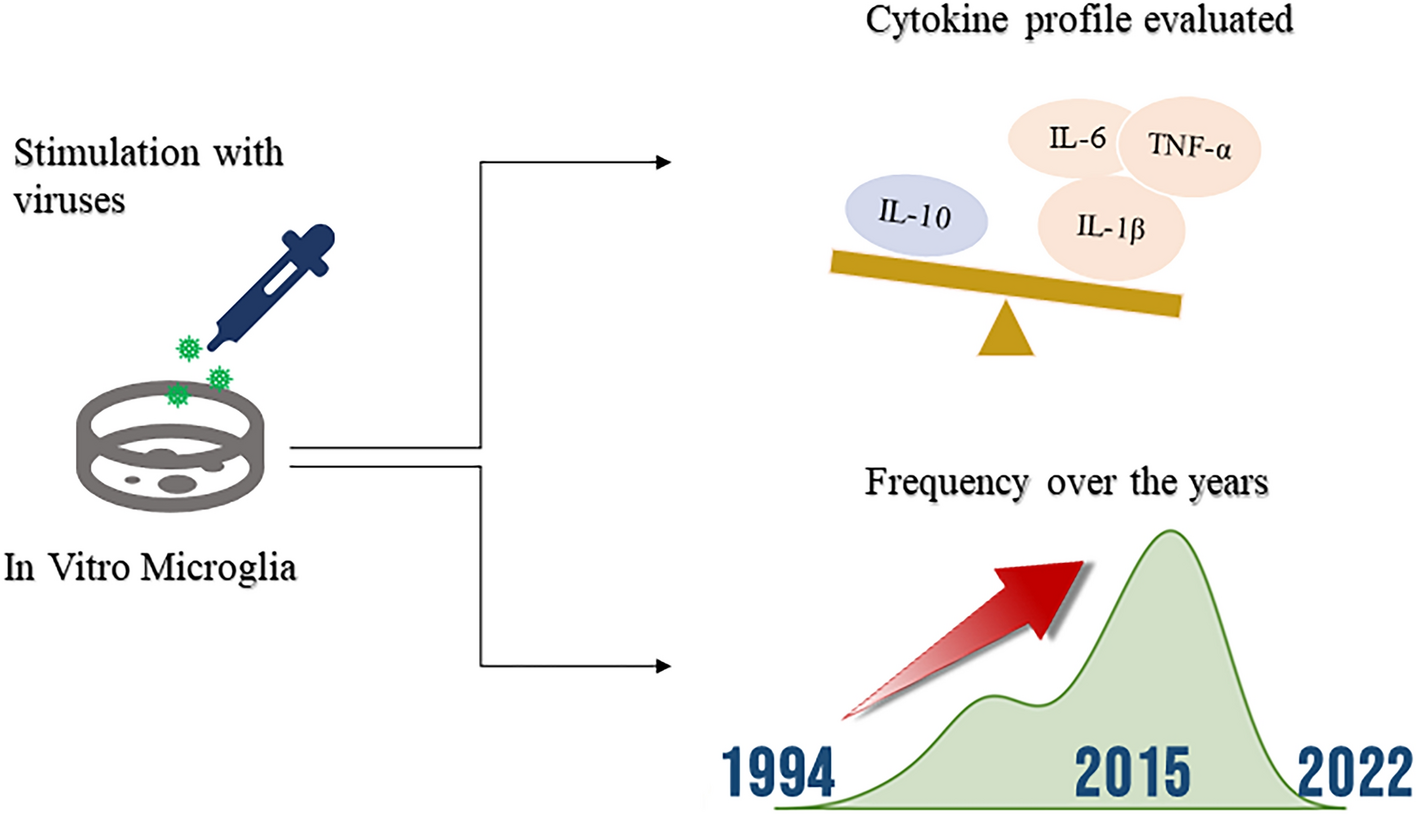 Frequency and Focus of in Vitro Studies of Microglia-Expressed Cytokines in Response to Viral Infection: A Systematic Review