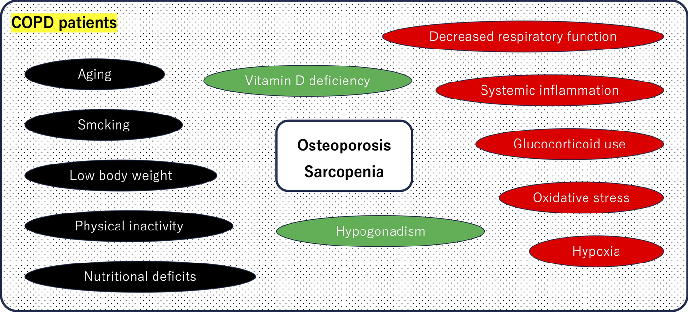 The impact of chronic obstructive pulmonary disease on bone strength