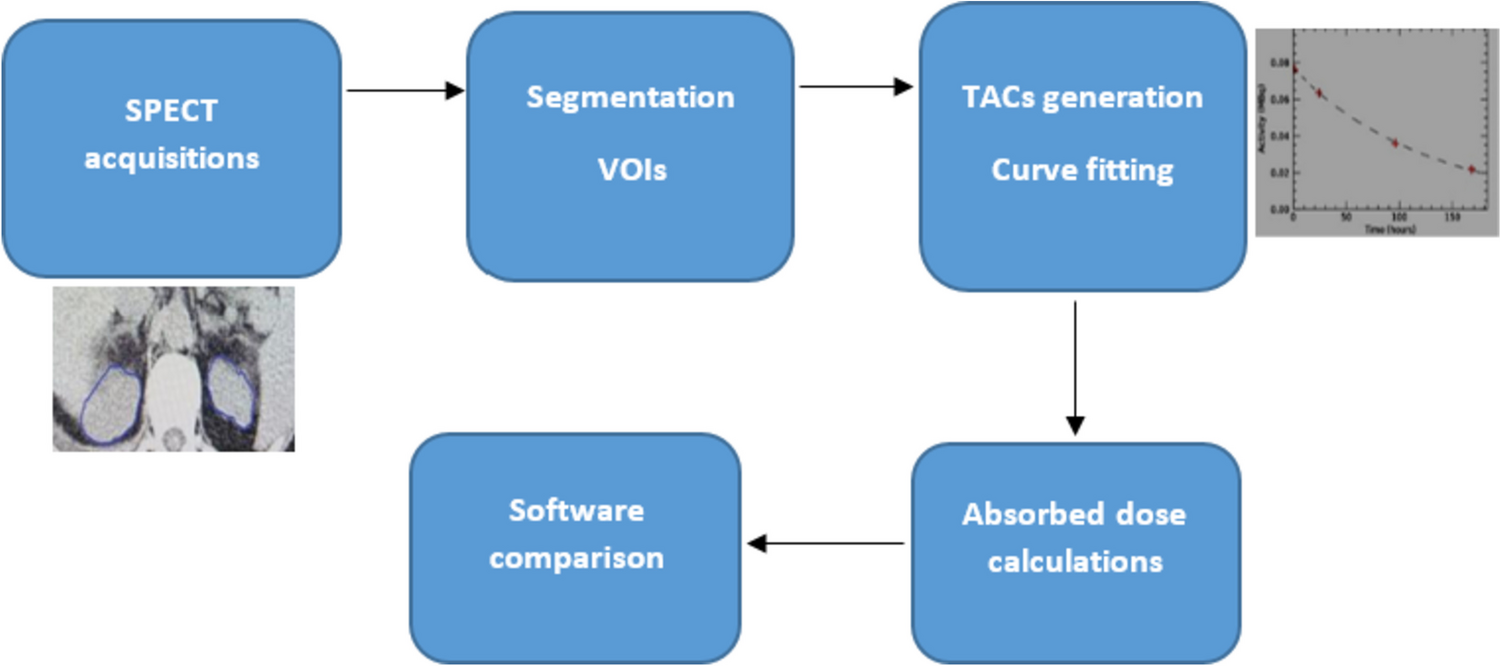 Validation of an in-house developed therapeutic dosimetric software tool for the treatment of 177Lutetium-DOTATATE peptide receptor radionuclide therapy