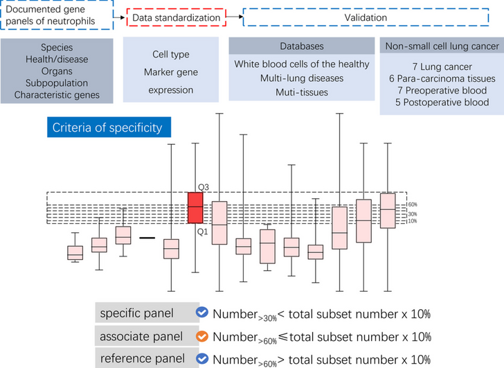 Deciphering the heterogeneity of neutrophil cells within circulation and the lung cancer microenvironment pre- and post-operation