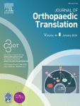 Shock wave assisted intracellular delivery of antibiotics against bone infection with Staphylococcus aureus via P2X7 receptors