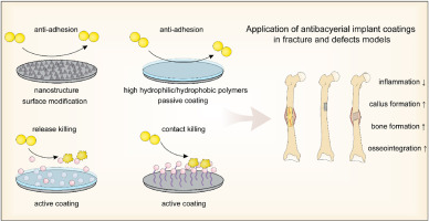 Implants coating strategies for antibacterial treatment in fracture and defect models: A systematic review of animal studies