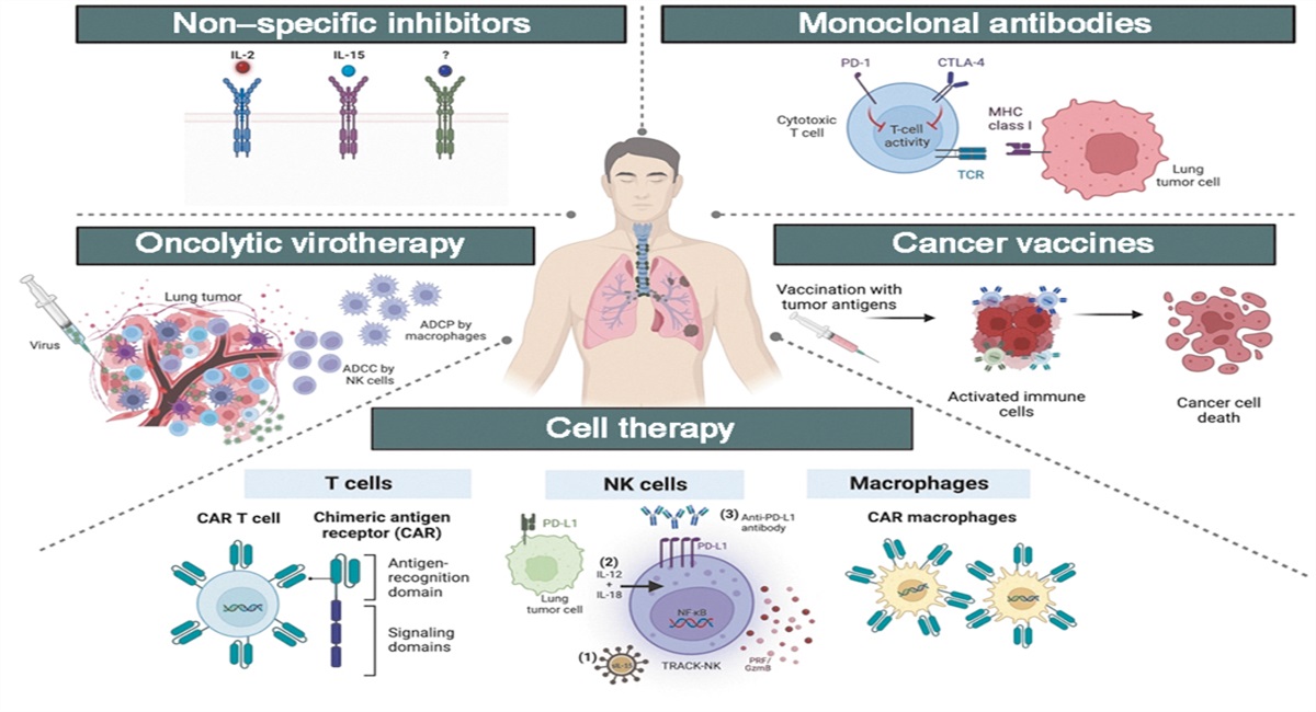 Recent advances and remaining challenges in lung cancer therapy
