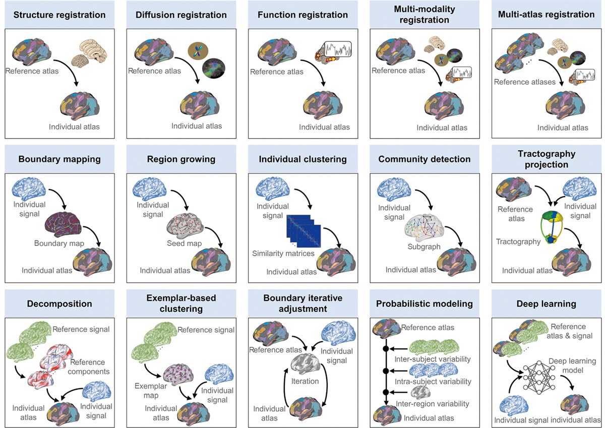 Individualized brain mapping for navigated neuromodulation