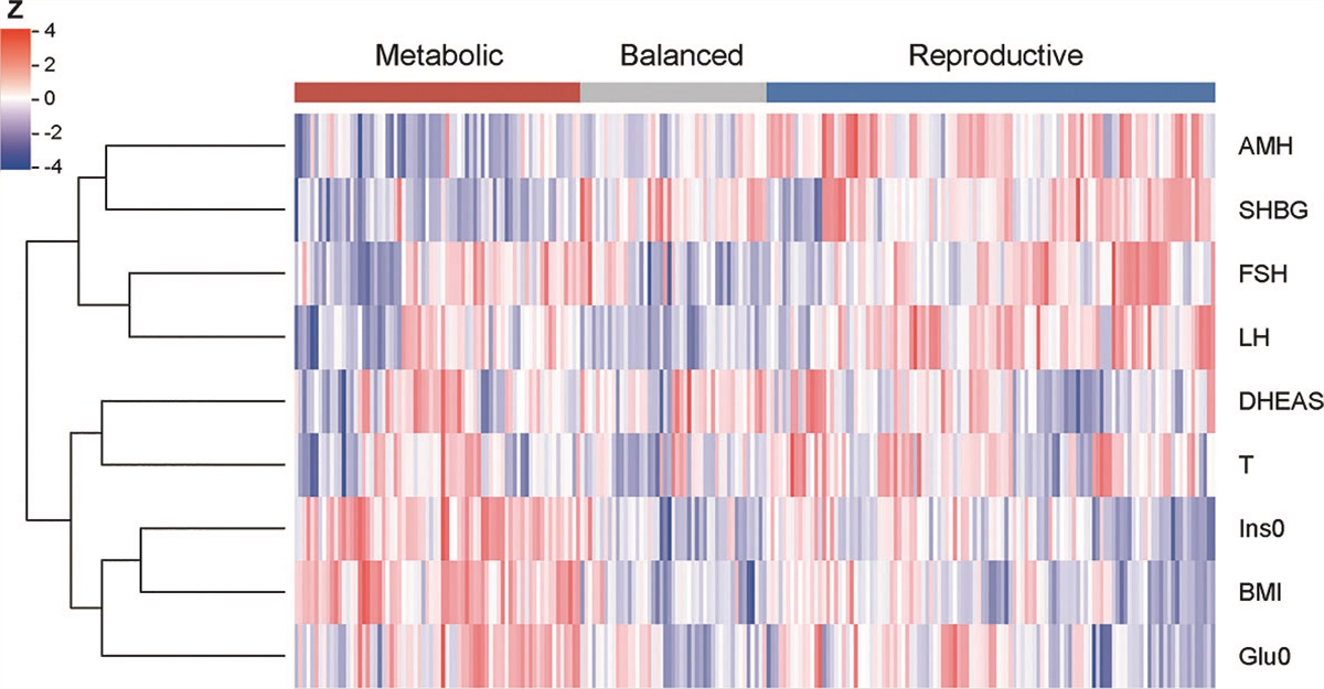 Cluster analysis reveals a homogeneous subgroup of PCOS women with metabolic disturbance associated with adverse reproductive outcomes