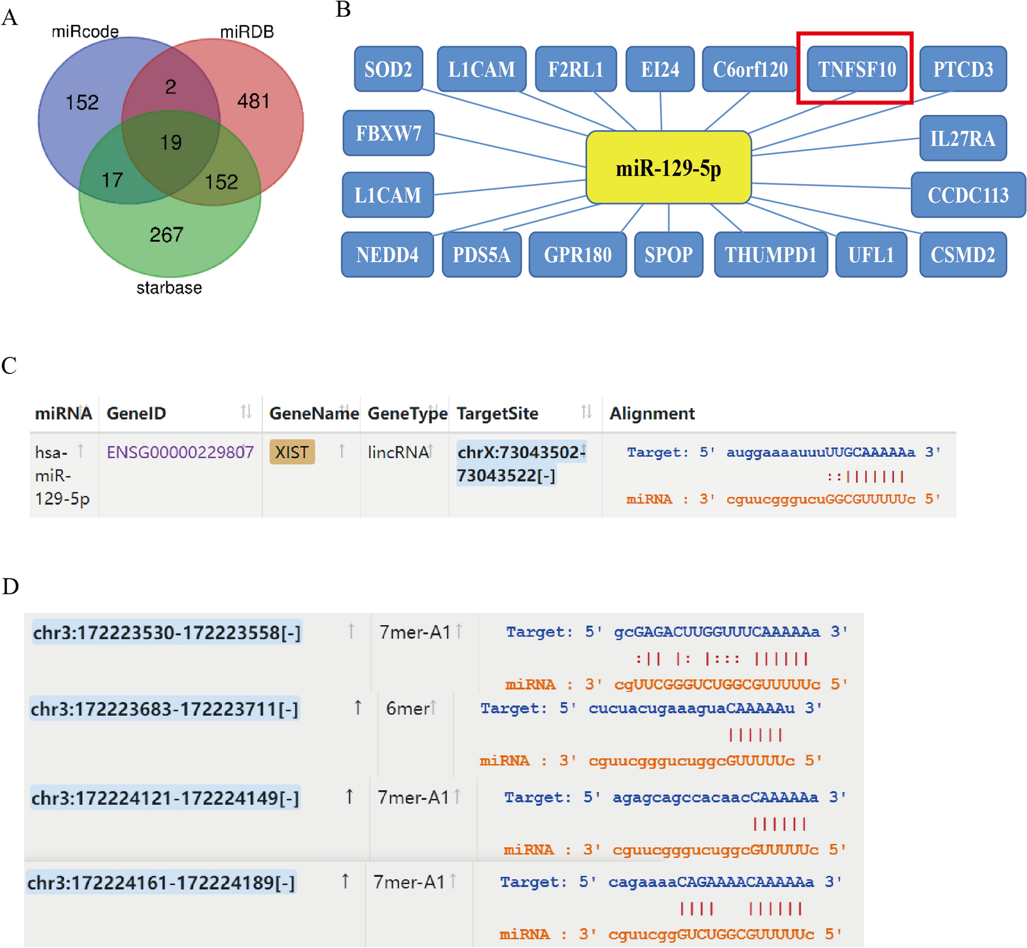 LncRNA XIST promotes bladder cancer progression by modulating miR-129-5p/TNFSF10 axis