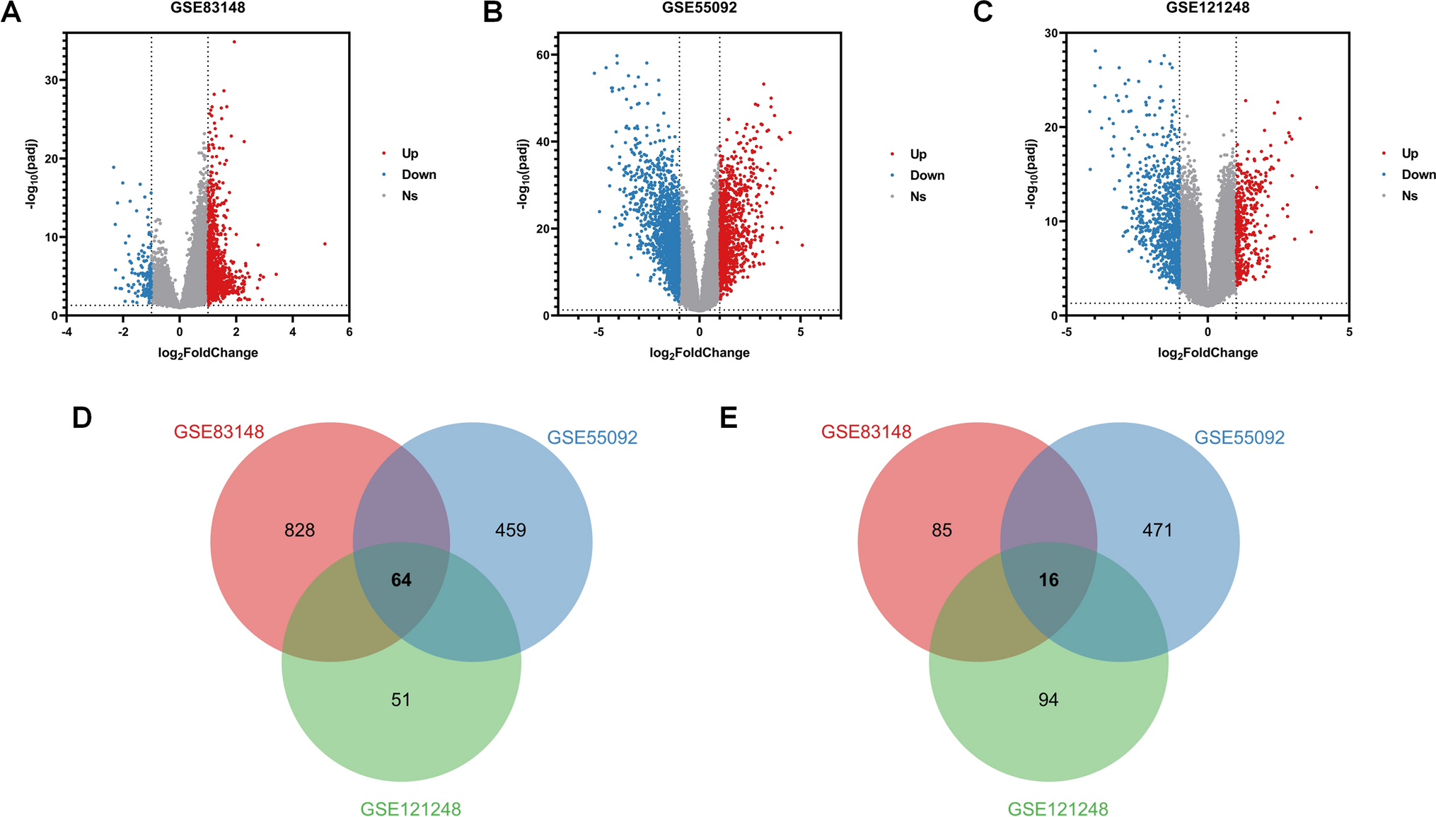 Unveiling NUSAP1 as a common gene signature linking chronic HBV infection and HBV-related HCC