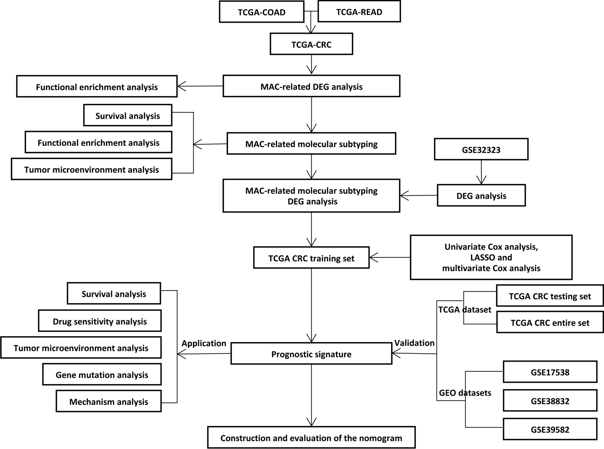 Identification and validation of a novel six-gene signature based on mucinous adenocarcinoma-related gene molecular typing in colorectal cancer