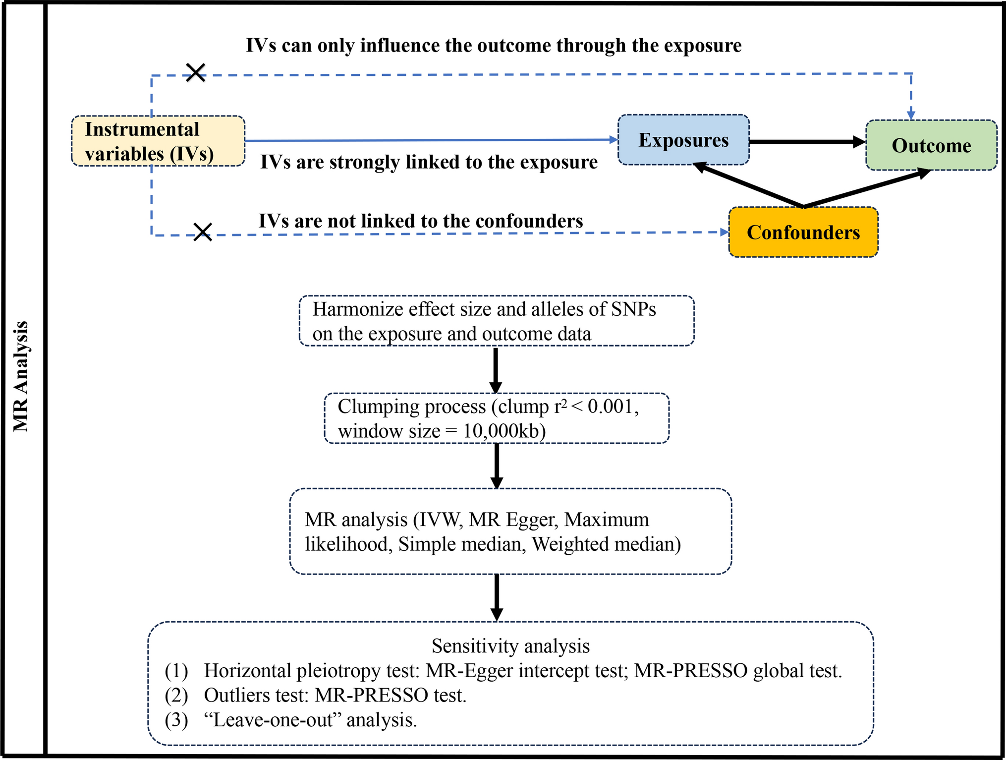 Causal relationship between gut microbiota and prostate cancer contributes to the gut-prostate axis: insights from a Mendelian randomization study