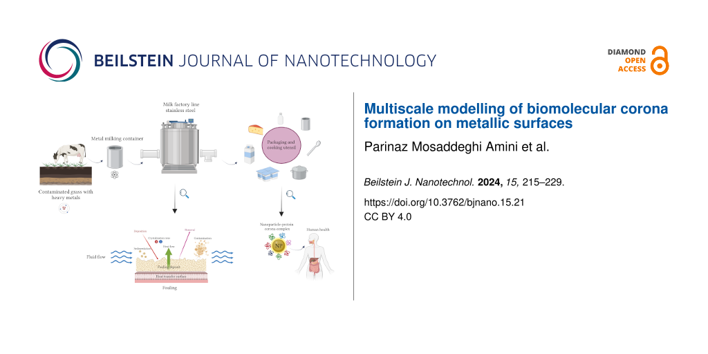 Multiscale modelling of biomolecular corona formation on metallic surfaces