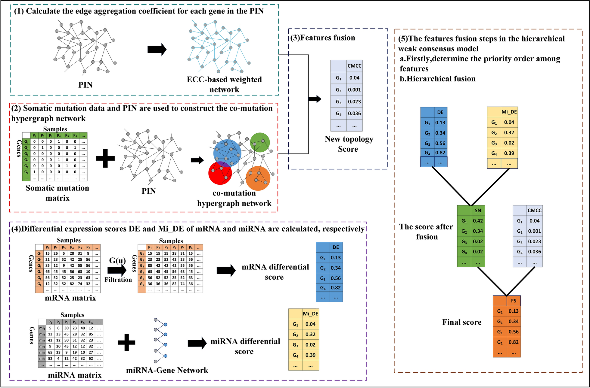 Identification of cancer driver genes based on hierarchical weak consensus model