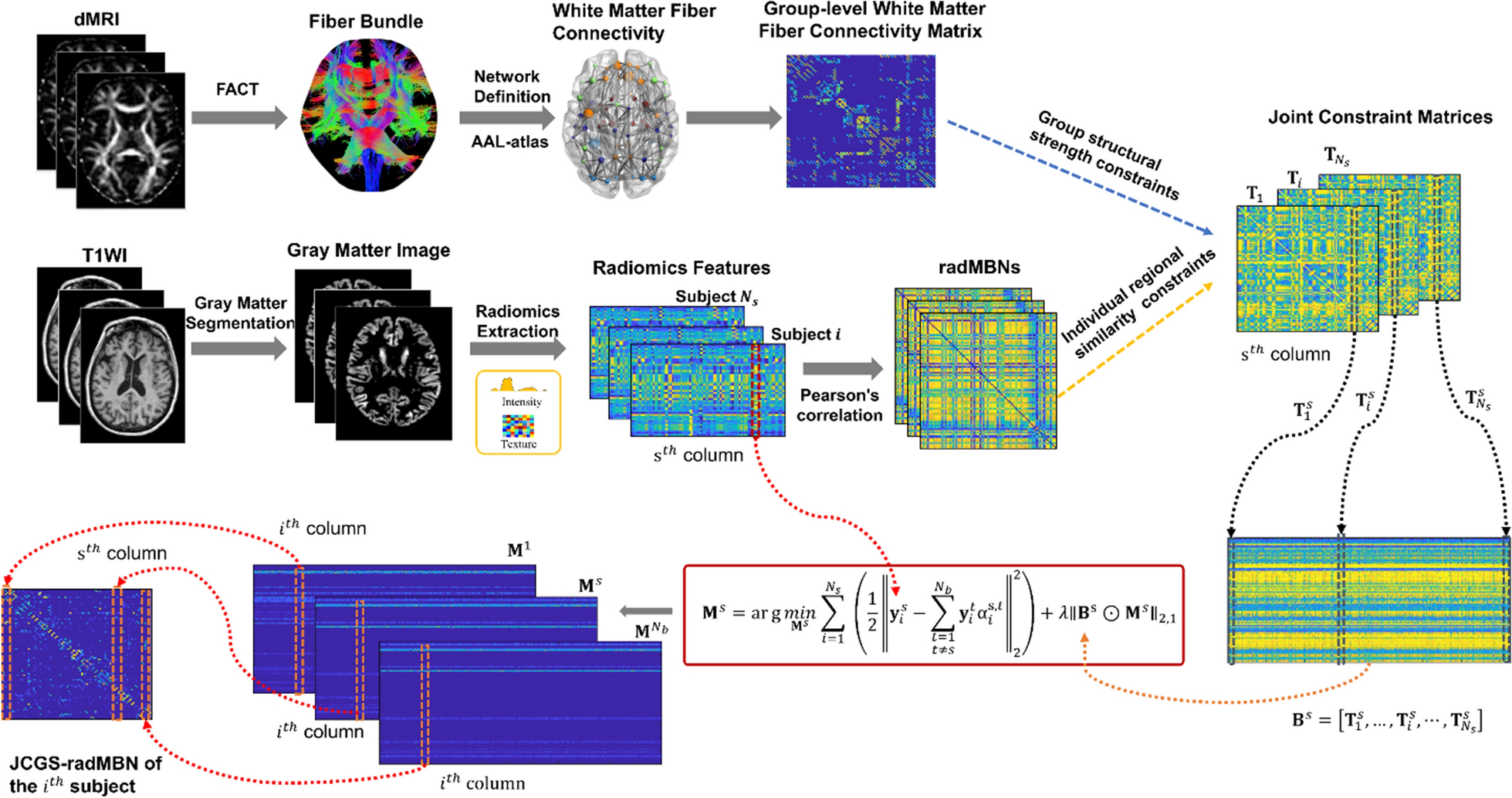 Jointly constrained group sparse connectivity representation improves early diagnosis of Alzheimer’s disease on routinely acquired T1-weighted imaging-based brain network