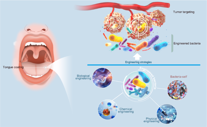 Promising dawn in tumor microenvironment therapy: engineering oral bacteria