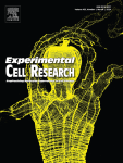Synovia tissue-specific exosomes participate in the dual variation of the osteoarthritis microenvironment via miR-182