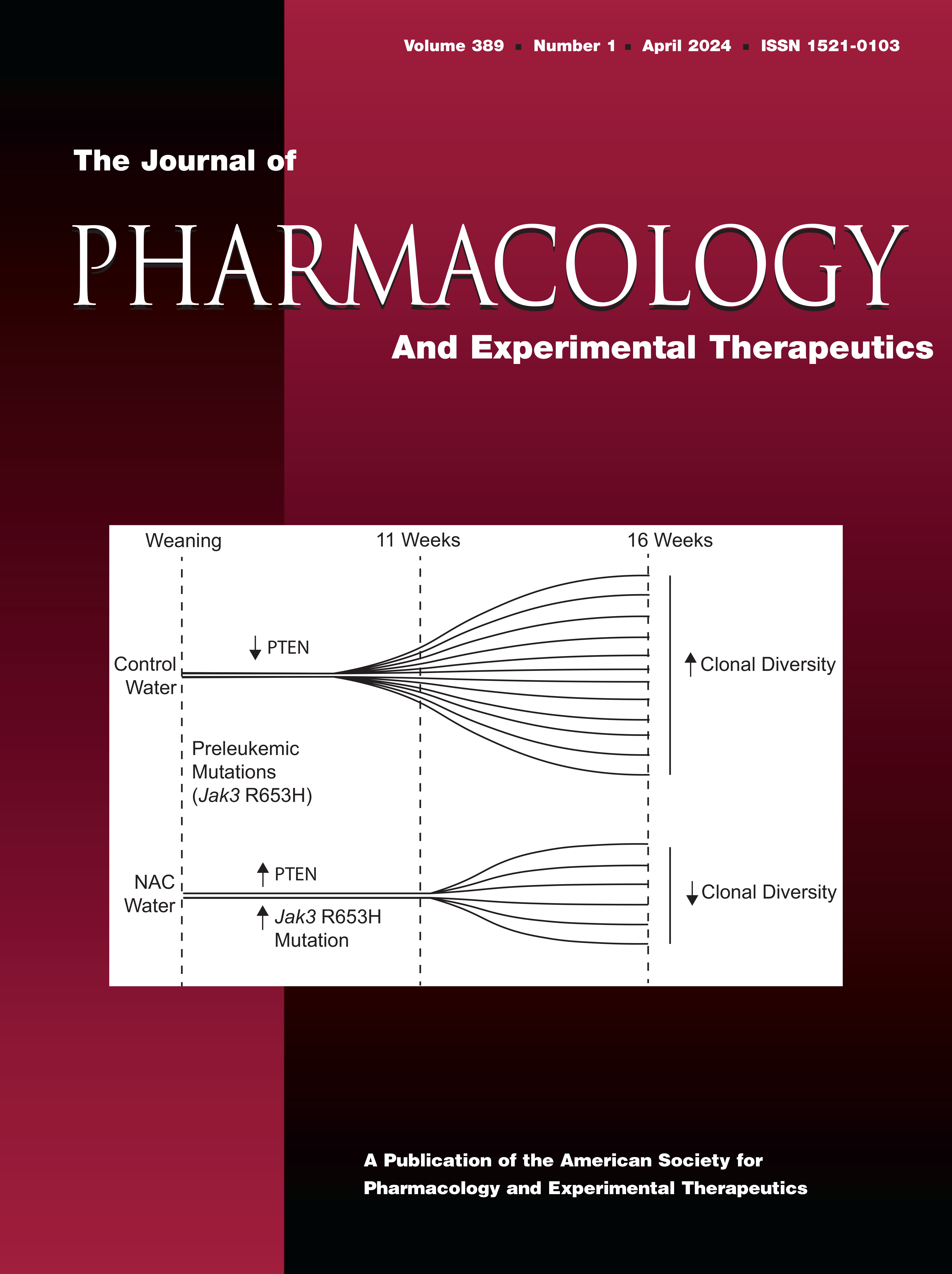 Selective KCNQ2/3 Potassium Channel Opener ICA-069673 Inhibits Excitability in Mouse Vagal Sensory Neurons [Neuropharmacology]