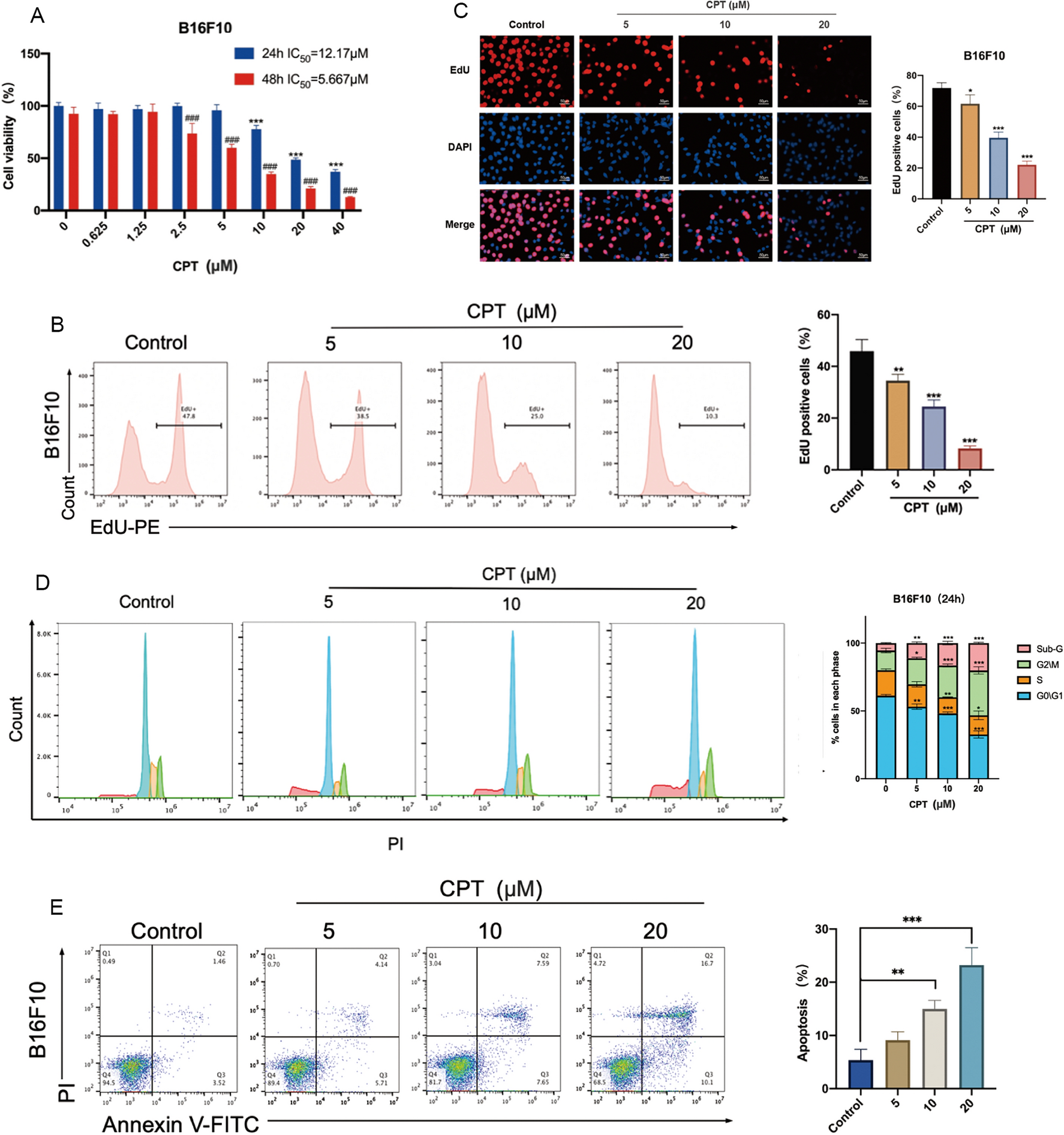 Cryptotanshinone inhibits PFK-mediated aerobic glycolysis by activating AMPK pathway leading to blockade of cutaneous melanoma