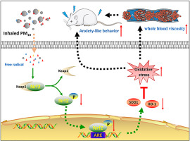 Chronic exposure to PM10 induces anxiety-like behavior via exacerbating hippocampal oxidative stress