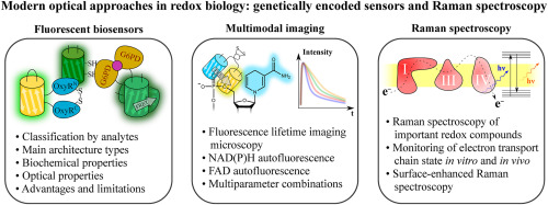 Modern optical approaches in redox biology: Genetically encoded sensors and Raman spectroscopy