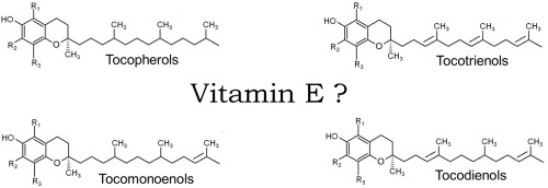 Revising the nomenclature for vitamin E requires agreement on its vitamin function