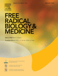 Corrigendum to “Clozapine-N-oxide protects dopaminergic neurons against rotenone-induced neurotoxicity by preventing ferritinophagy-mediated ferroptosis” [Free Radic. Biol. Med. 212 (2024) 384–402]