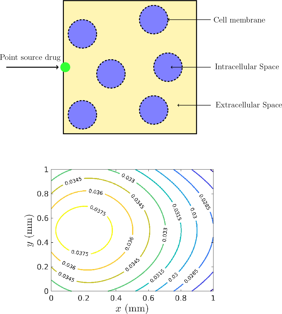 A Model for Reversible Electroporation to Deliver Drugs into Diseased Tissues