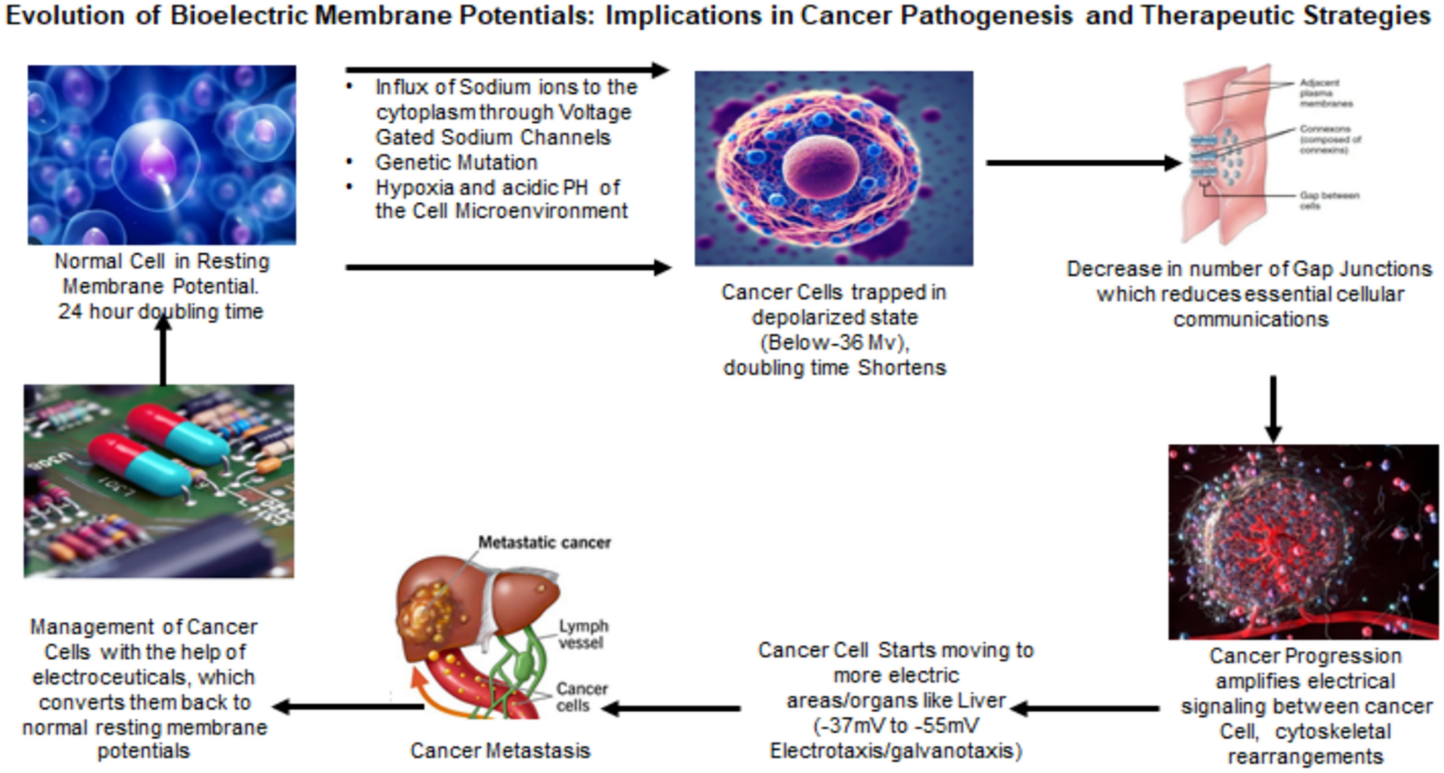 Evolution of Bioelectric Membrane Potentials: Implications in Cancer Pathogenesis and Therapeutic Strategies