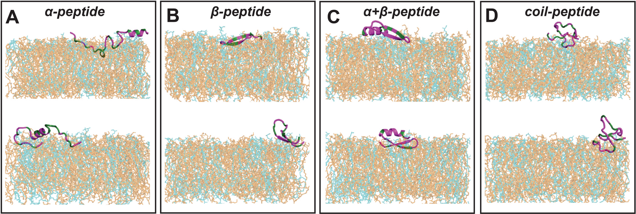 Correlation Between Antimicrobial Structural Classes and Membrane Partitioning: Role of Emerging Lipid Packing Defects