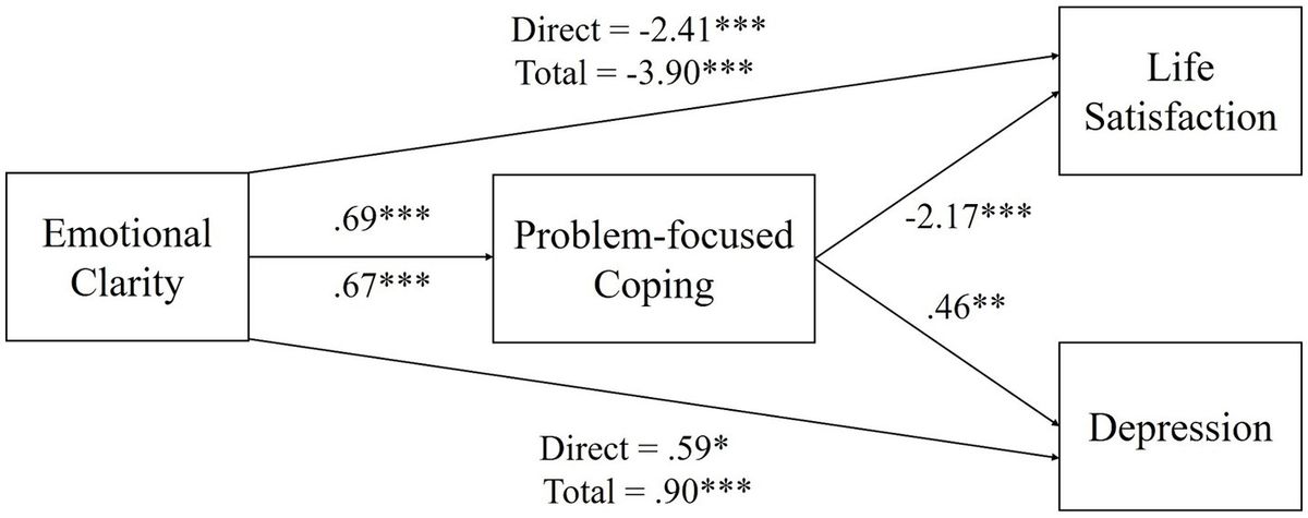 The mediating effect of problem-focused coping on the relationship between emotional clarity and mental health among older adults
