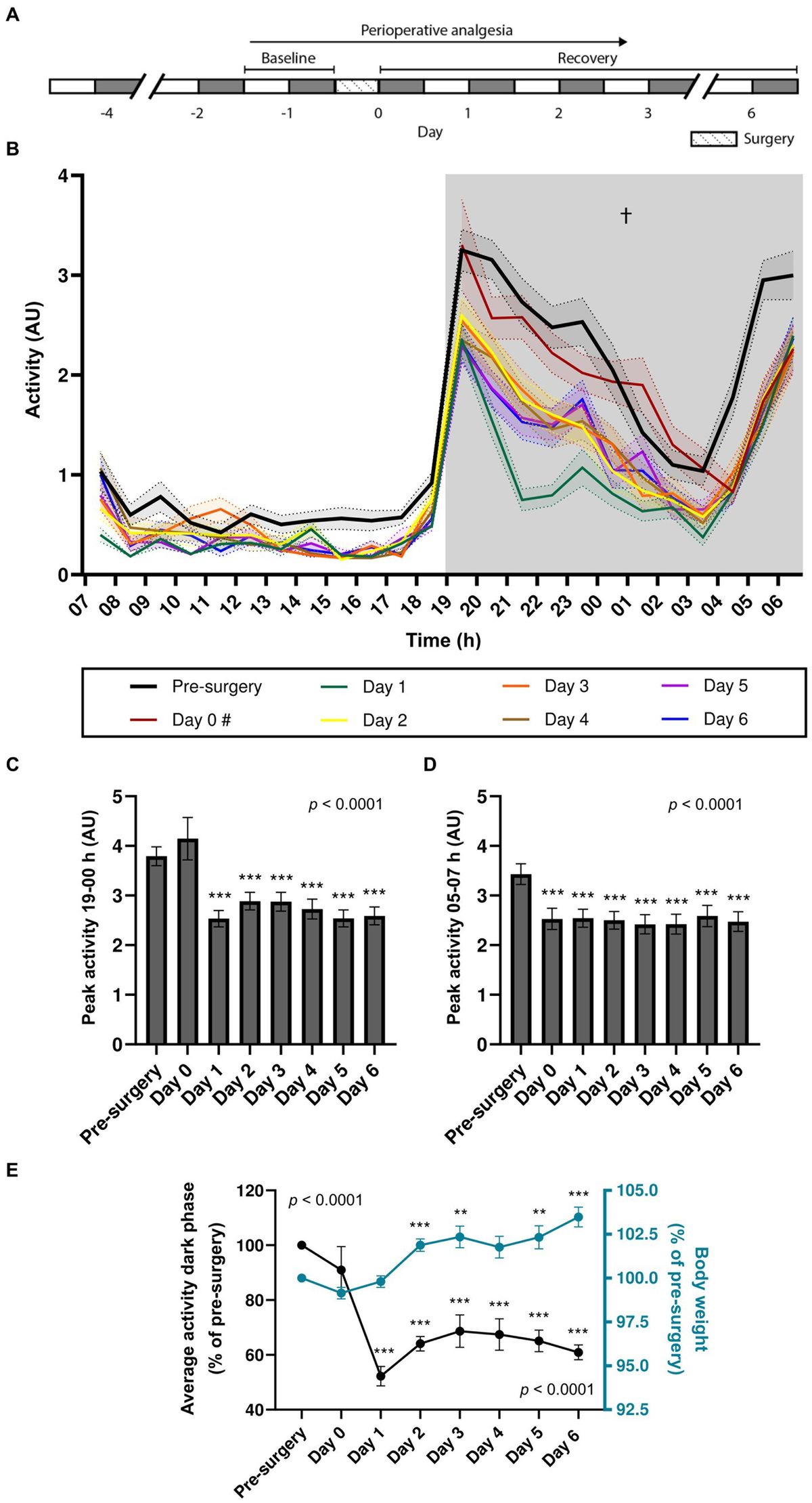 Continuous locomotor activity monitoring to assess animal welfare following intracranial surgery in mice
