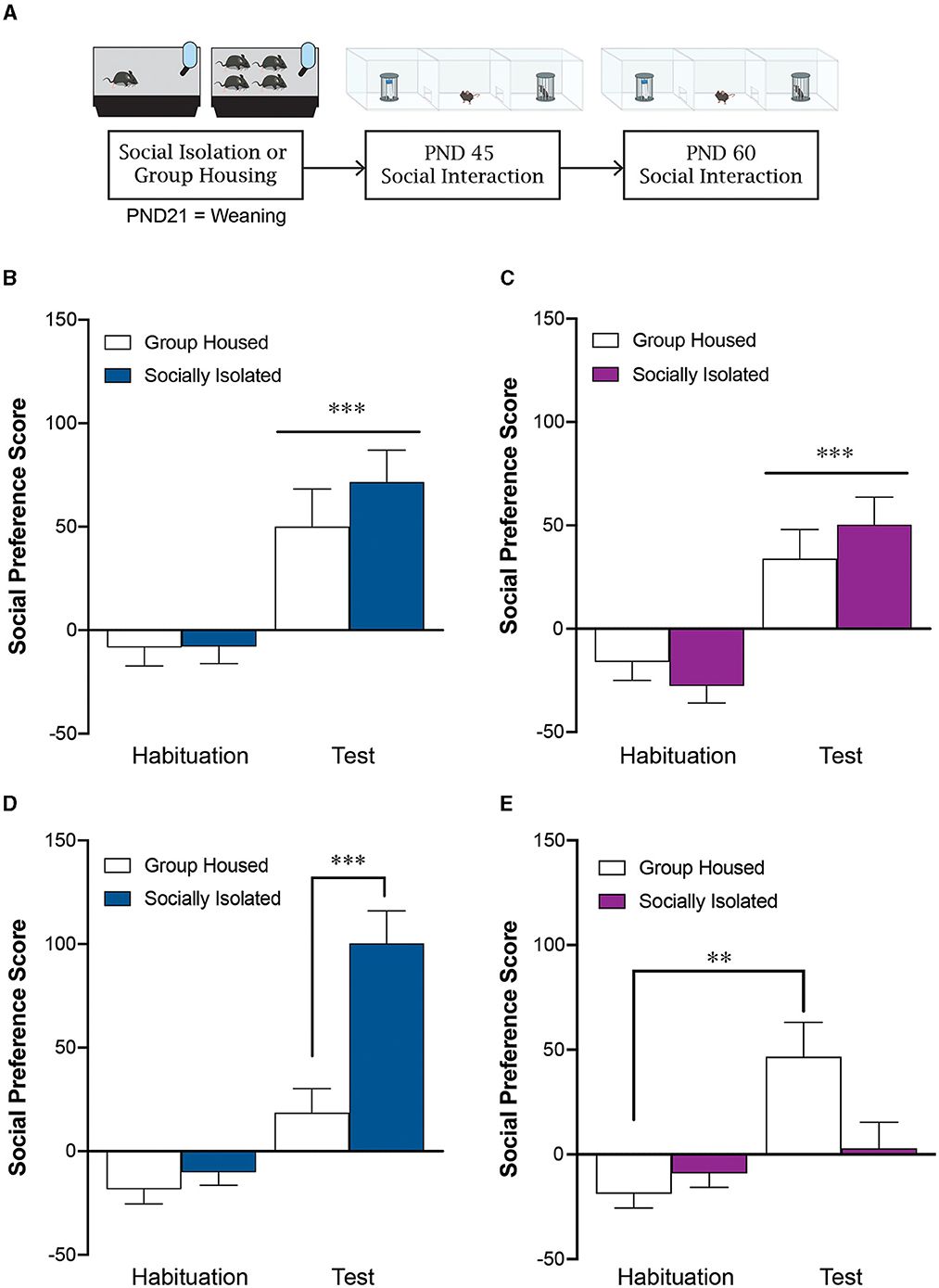 Post-weaning social isolation alters sociability in a sex-specific manner