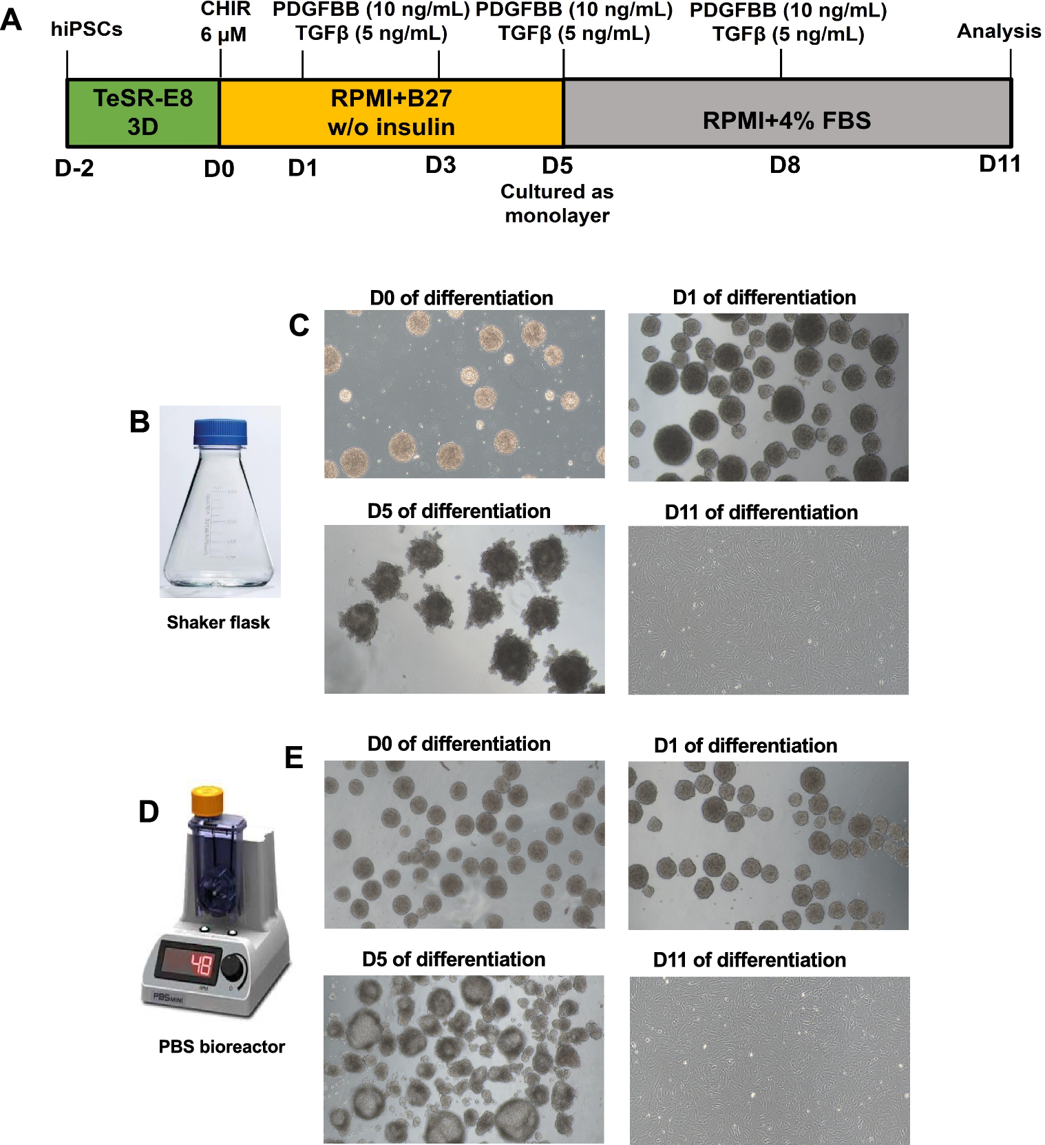Dynamic three dimensional environment for efficient and large scale generation of smooth muscle cells from hiPSCs