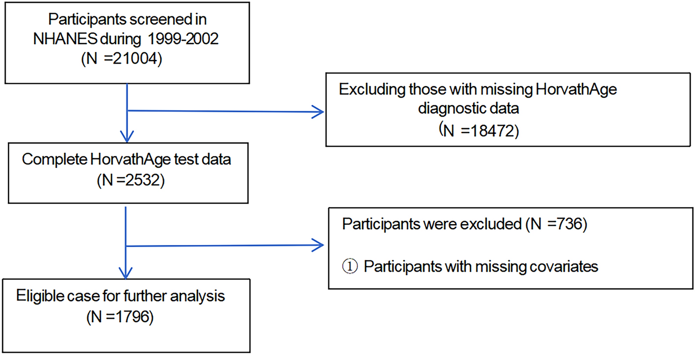 Correlation between lipid accumulation product and epigenetic age acceleration in American adults: a cross-sectional analysis using NHANES data